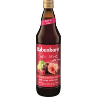 Rabenhorst Well-Being With Iron 700ml